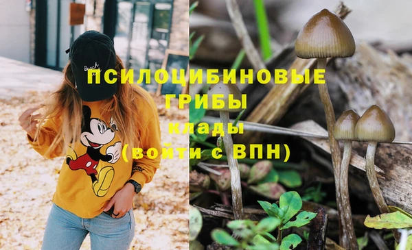 марки lsd Алексин