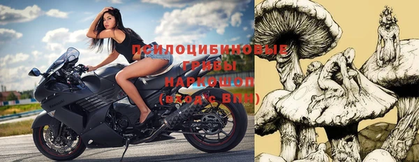 гашик Абаза