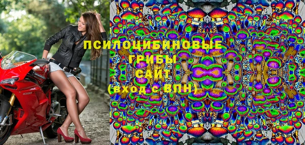 дурь Алексеевка