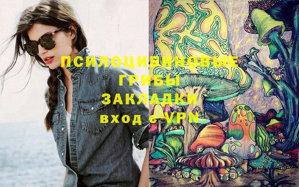 сатива Абдулино
