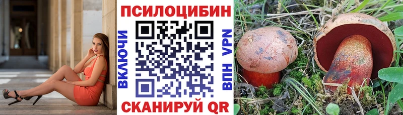 Галлюциногенные грибы MAGIC MUSHROOMS  Среднеколымск 